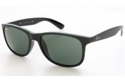 Ray-Ban Andy (RB4202 606971 55mm) saules brilles